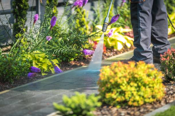 Best Restaurant Pressure Washing  in Ettrick, VA