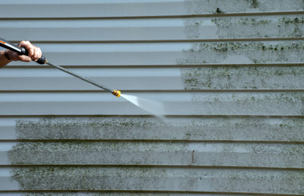 Boat and Dock Cleaning in Ettrick, VA