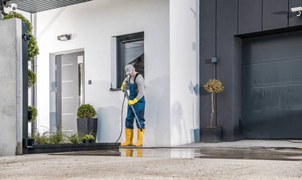 Best Boat and Dock Cleaning  in Ettrick, VA
